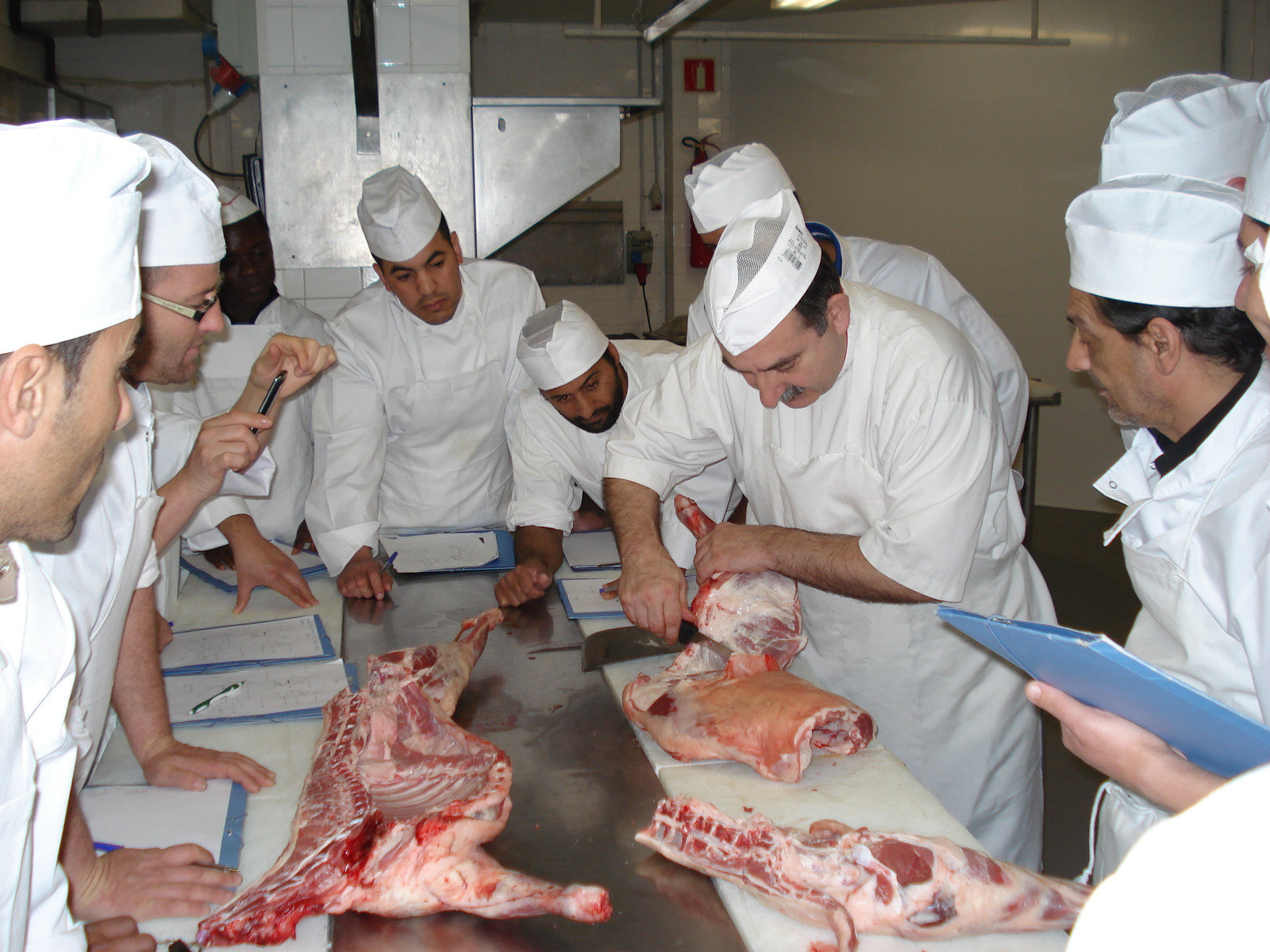 [Termini exhaurit] FPO Dual: Busquem empreses per formar aprenents de carnisseria – xarcuteria