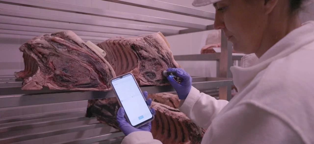 Jornada de l’IRTA sobre la Guia tècnica per a la producció de carn madurada en sec